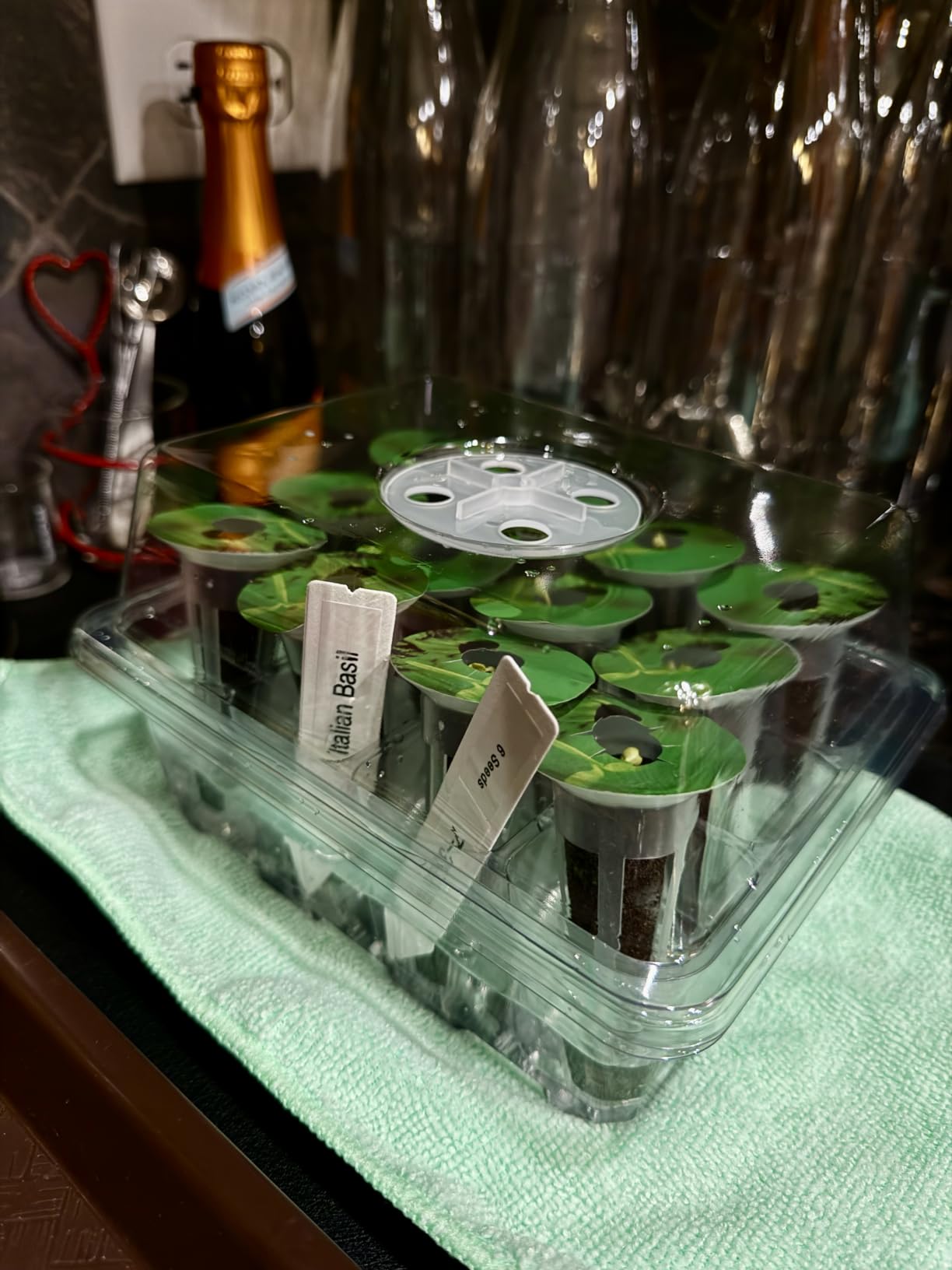 Bonviee 5-Pack Seed Starter Trays, Humidity Dome, Base, 12-Cell Tray, Black customer photo 1