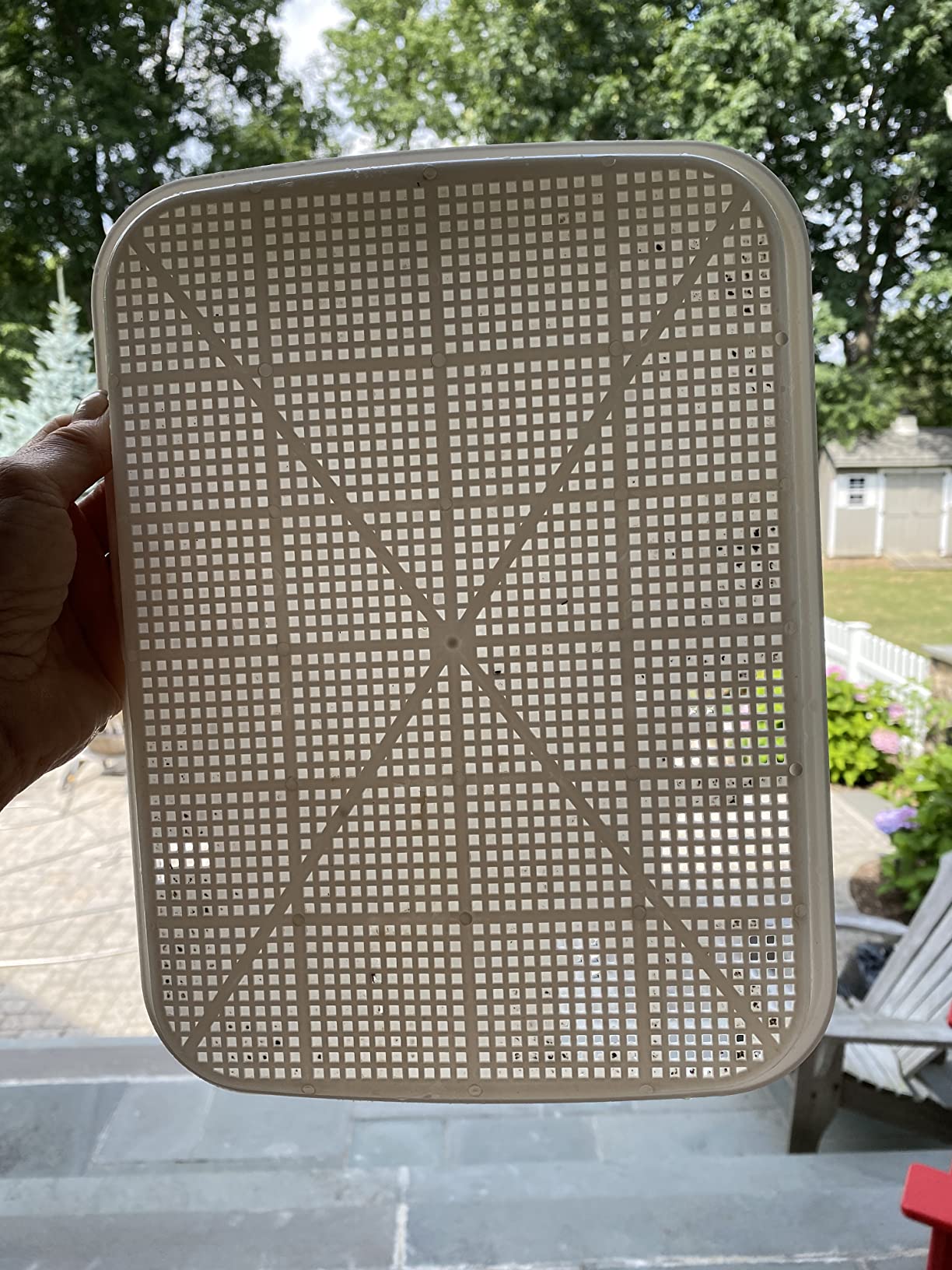 SUNPRO 2-Pack Seed Sprouter Tray with Humidity Lid, BPA Free Food Grade Soil-Free Sprouting Kit customer photo 1