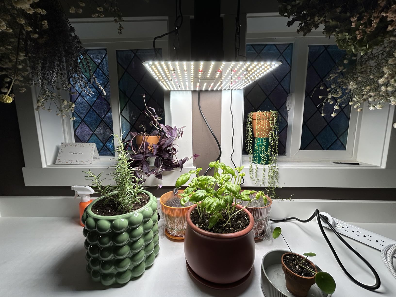 VIVOSUN LumaLight 100W LED Grow Light, Full Spectrum Plant Light customer photo 2