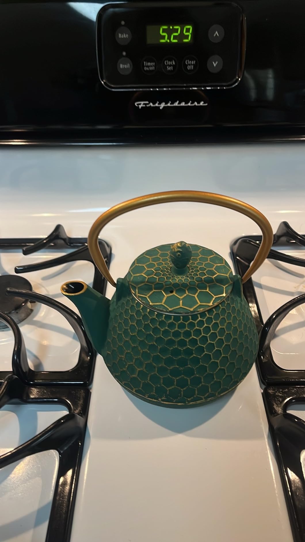 YJX 34oz Cast Iron Tea Kettle for Stovetop, Green Tea Pot for Loose Tea customer photo 1