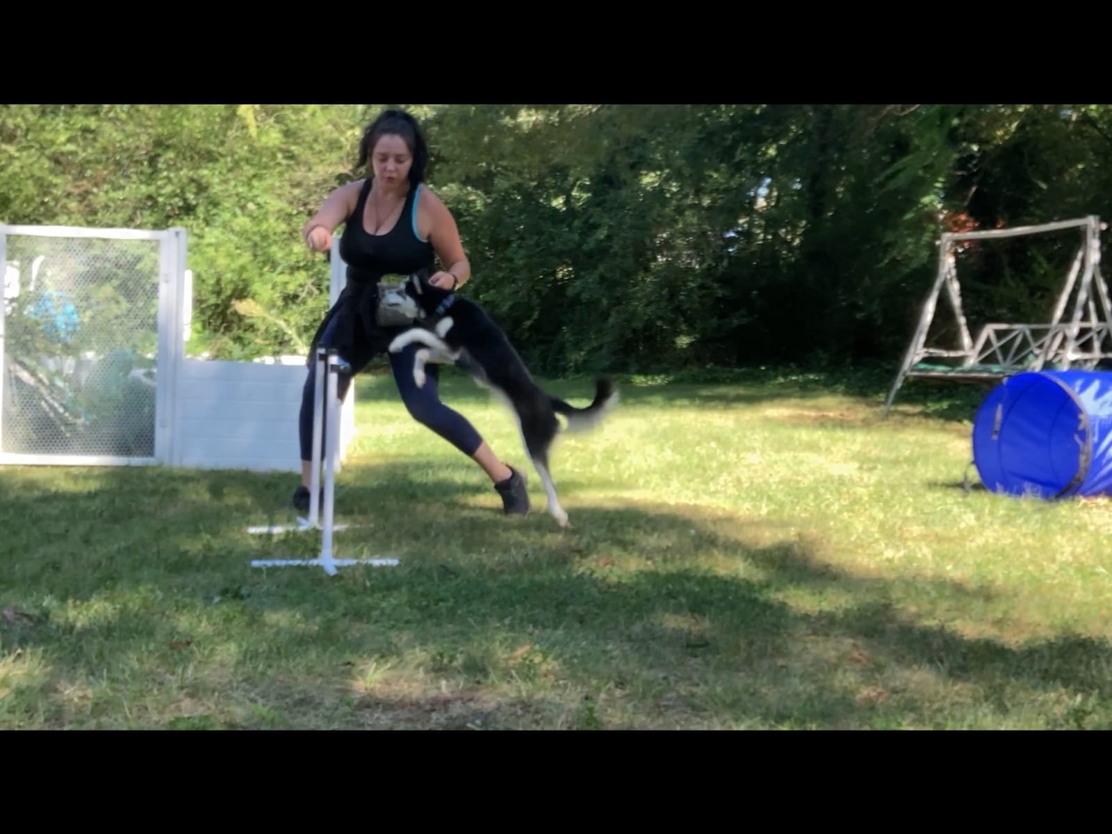Better Sporting Dogs Agility Course Backyard Set - 7pc | Indoor and Outdoor, 3 Jumps, 2 Tunnels with Sandbags, Weave Poles, Dog Agility Training Equipment customer photo 2