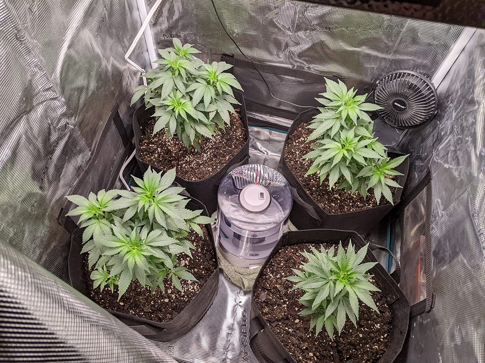 MARS HYDRO 3x3 Smart Grow Tent Kit with TS1000 with iControl Controller customer photo 2