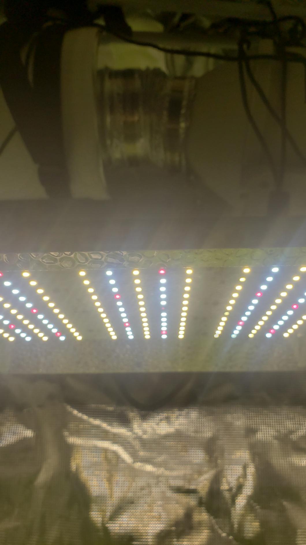 MARS HYDRO 2x2ft Grow Tent Kit with TS600 100W Full Spectrum LED Grow Light customer photo 2