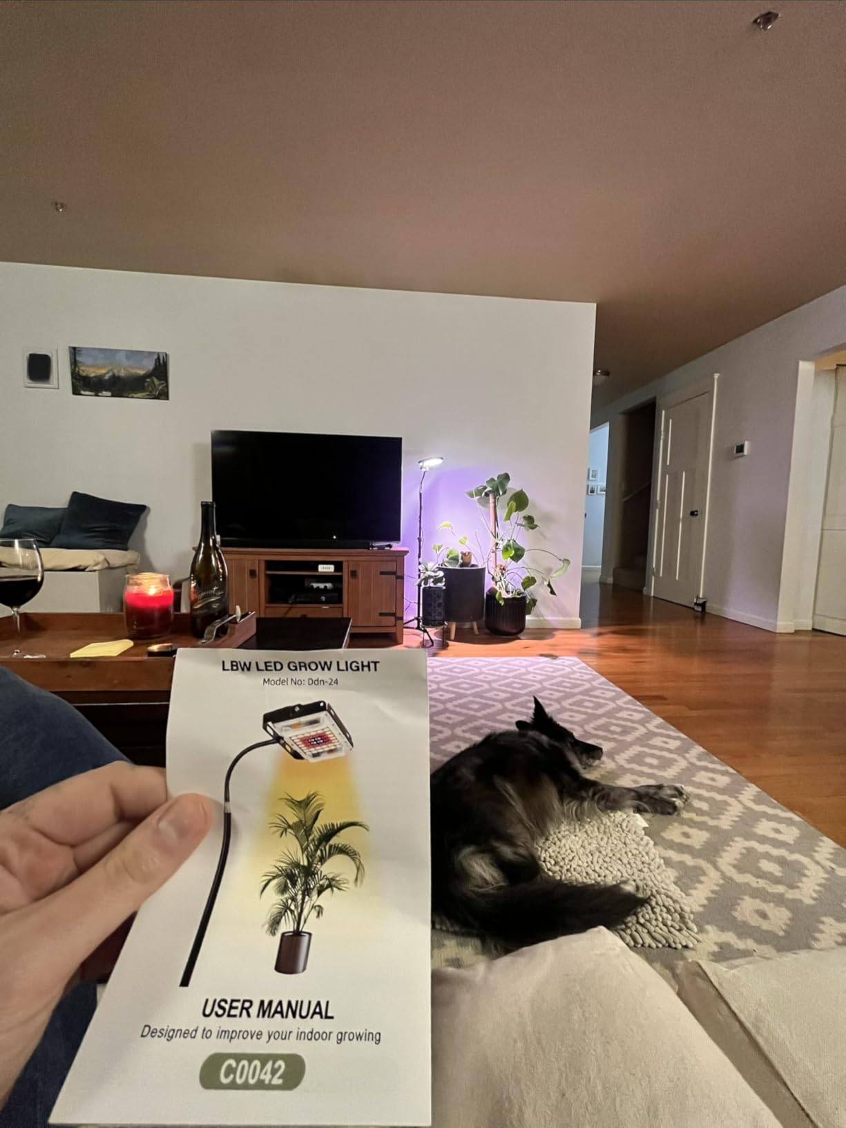 LBW Grow Light with Stand, Full Spectrum Grow Lights for Indoor Plants customer photo 2