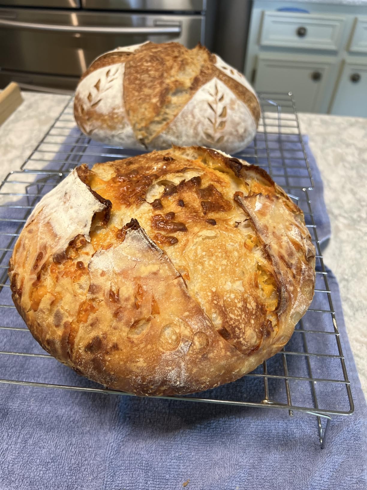 Rorecay Sourdough Starter Kit with Banneton Bread Proofing Baskets customer photo 1
