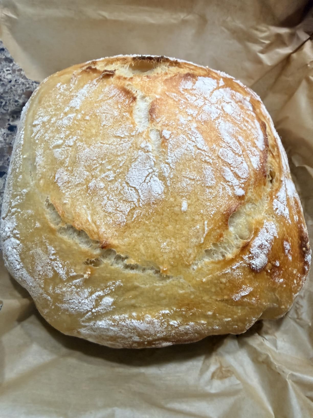 Rorecay Sourdough Starter Kit with Banneton Bread Proofing Baskets customer photo 2