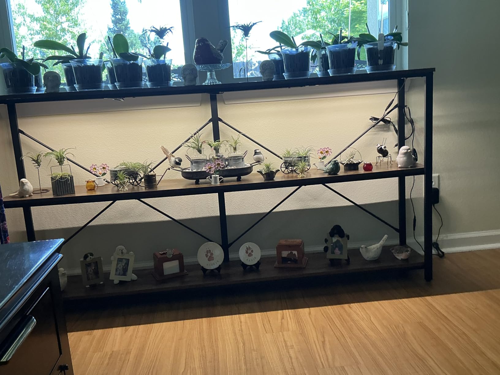 LED Grow Lights Strips for Indoor Plants with Auto ON & Off Timer, T5 Sunlike Full Spectrum Grow Lights Bar Growing Lamps for Greenhouse Shelves Hydroponics Succulent, 4 Dimmable Levels customer photo 1