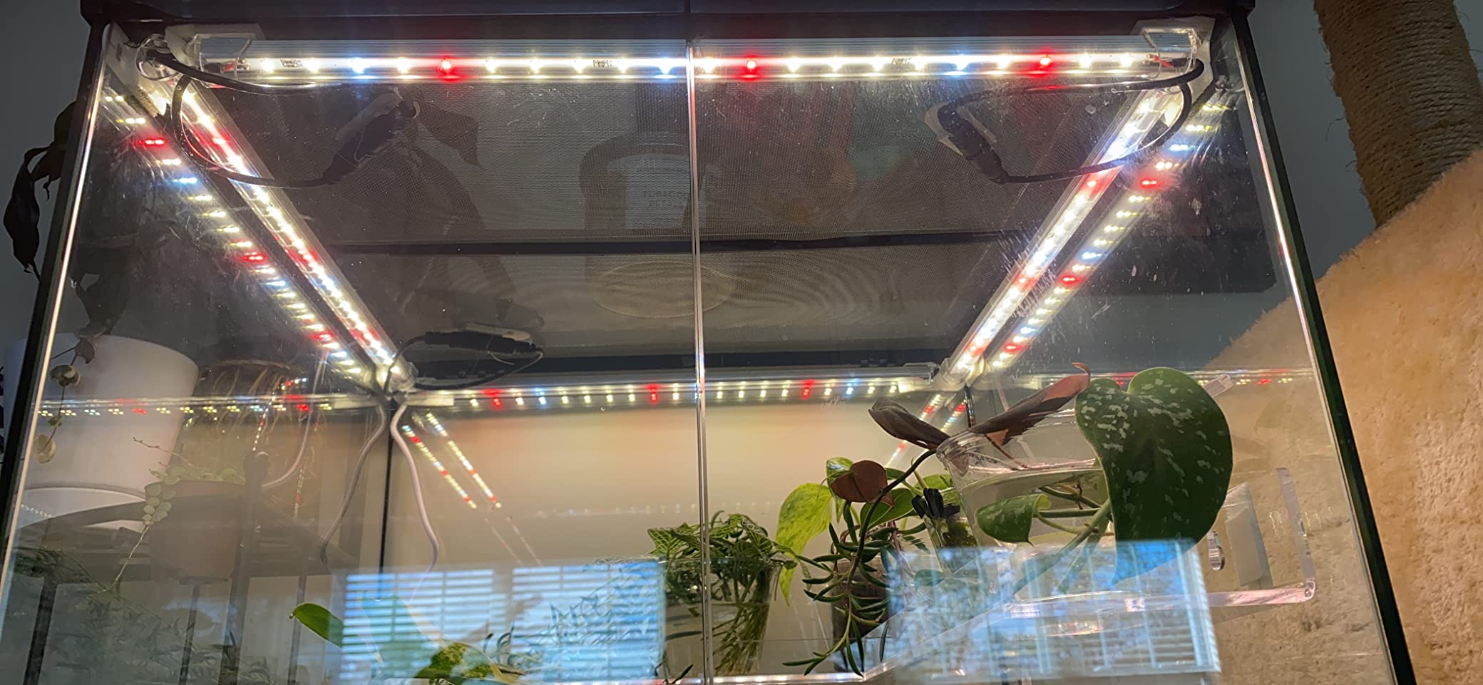 LED Grow Lights Strips for Indoor Plants with Auto ON & Off Timer, T5 Sunlike Full Spectrum Grow Lights Bar Growing Lamps for Greenhouse Shelves Hydroponics Succulent, 4 Dimmable Levels customer photo 2