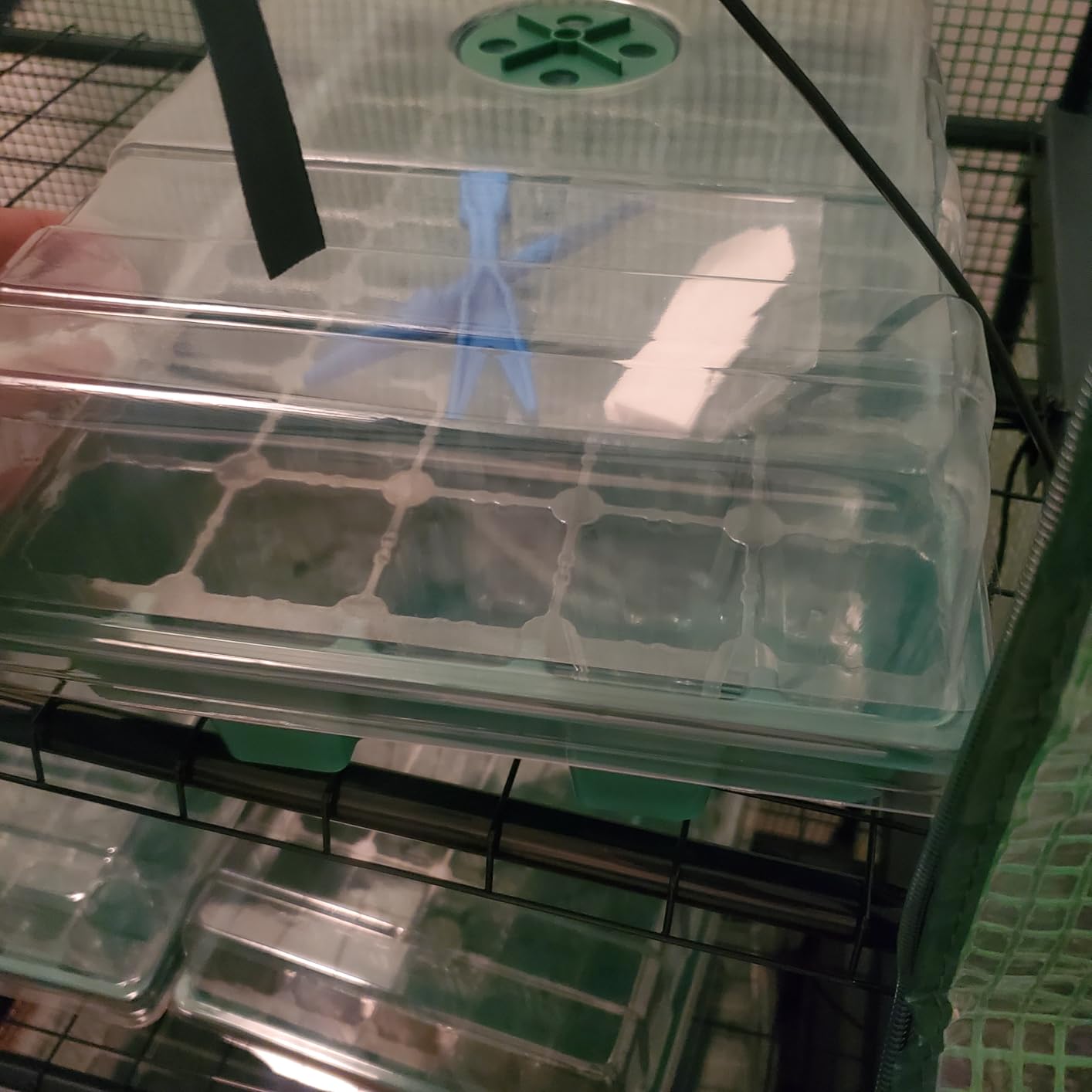 MIXC 5 Pack Seed Starter Tray, 200Cell Mini Propagator Greenhouse Grow Kit customer photo 2