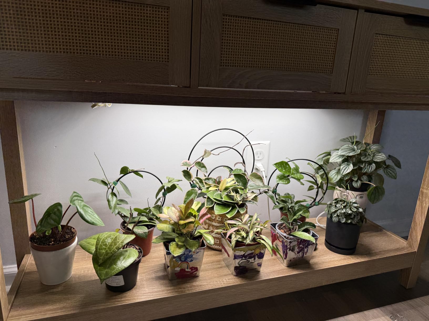 Barrina T5 Grow Lights, Full Spectrum, 4ft 160W (8 x 20W), 8 Packs customer photo 1