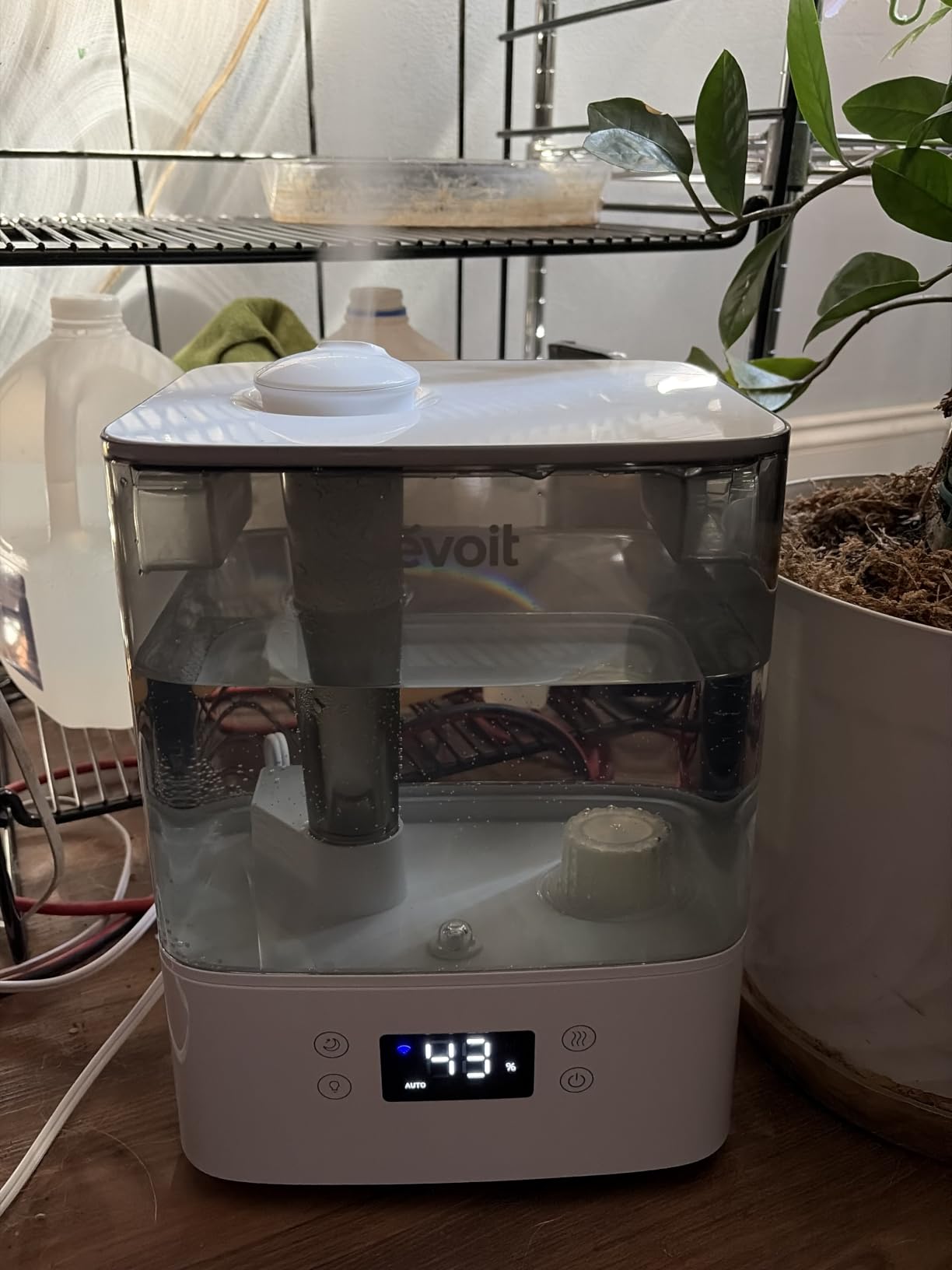 Levoit Humidifiers for Bedroom Large Room, 6L, 60H Runtime, 26dB, Smart App customer photo 1