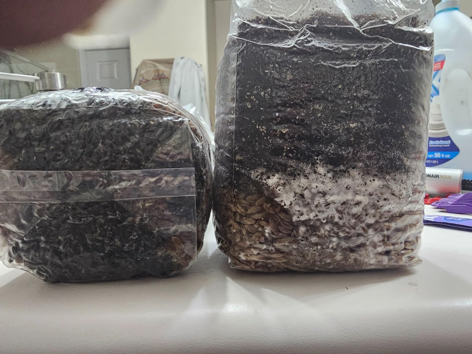 Mini All in One Mushroom Grow Bag customer photo 2