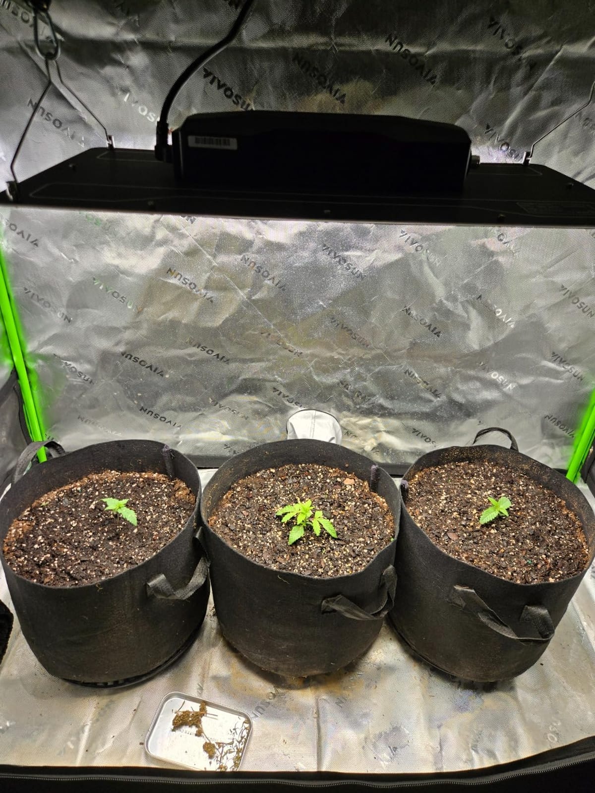 VIVOSUN 2.7x2.7ft Grow Tent Kit 150W LED A22 WiFi Control Grow System customer photo 1