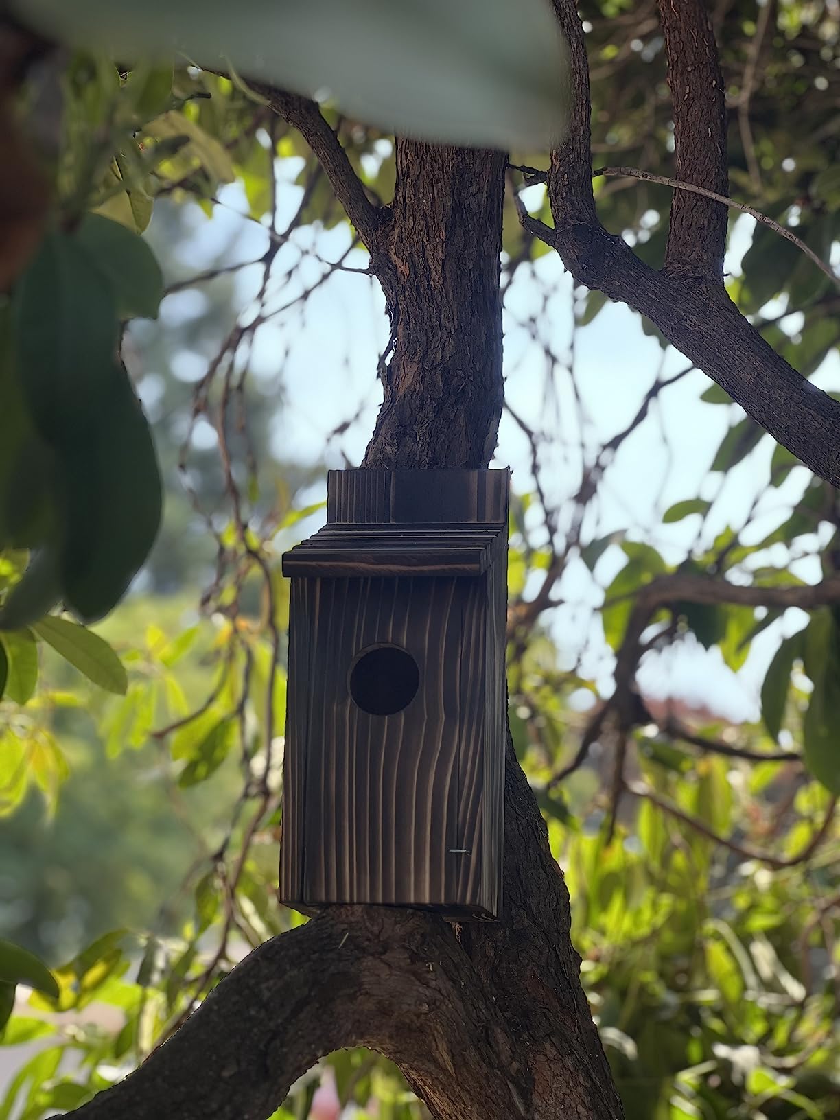 Cedar Blue Bird Box House,Hummingbird Wren Chickadee House, Assembled,1Pcs customer photo 1