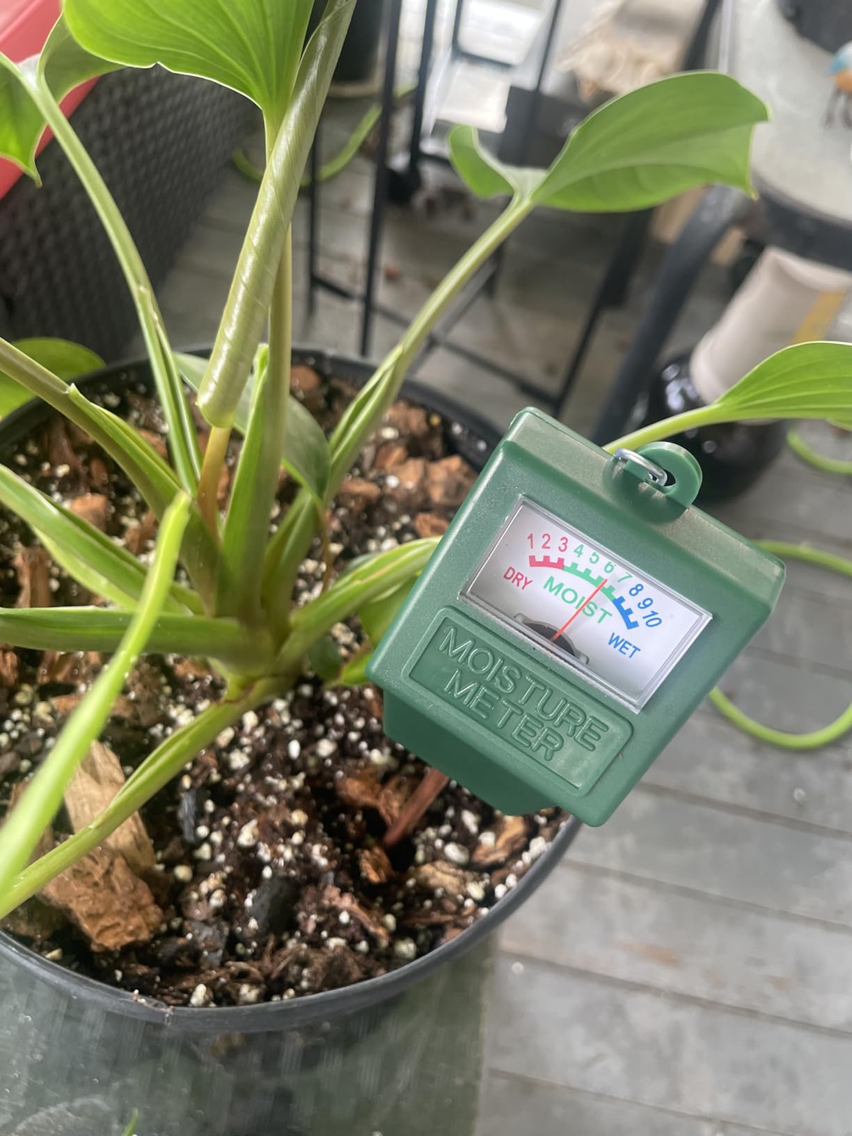 Soil Moisture Meter, Plant Hygrometer Moisture Sensor Plant Water Monitor for Potted Plants, Garden, Farm, Lawn (No Battery Needed) customer photo 1