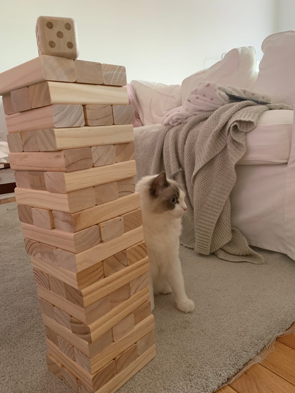 Aivalas Giant Tumble Tower 57 Blocks 4.2FT Indoor Outdoor Games for Family customer photo 2
