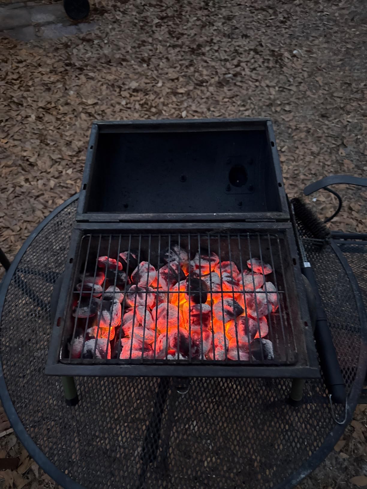 MAISON HUIS Small Charcoal Grill, Portable Tabletop BBQ Smoker for Outdoor Camping, Mini Grill for Tailgating, Hiking & Picnic, (Green) customer photo 2