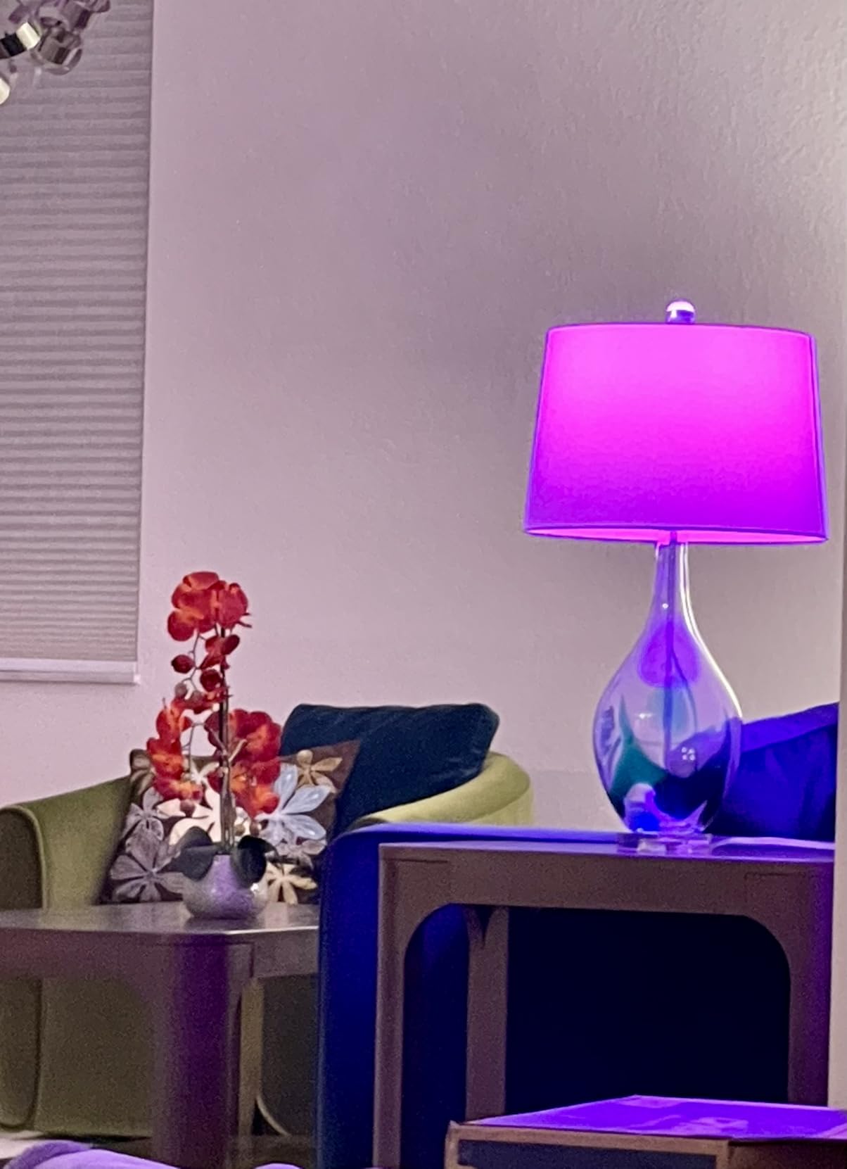 Kasa Smart Light Bulbs, Full Color Changing Dimmable Smart WiFi Bulbs Compatible with Alexa and Google Home, A19, 60 W 800 Lumens,2.4Ghz only, No Hub Required, 2-Pack (KL125P2), Multicolor customer photo 1