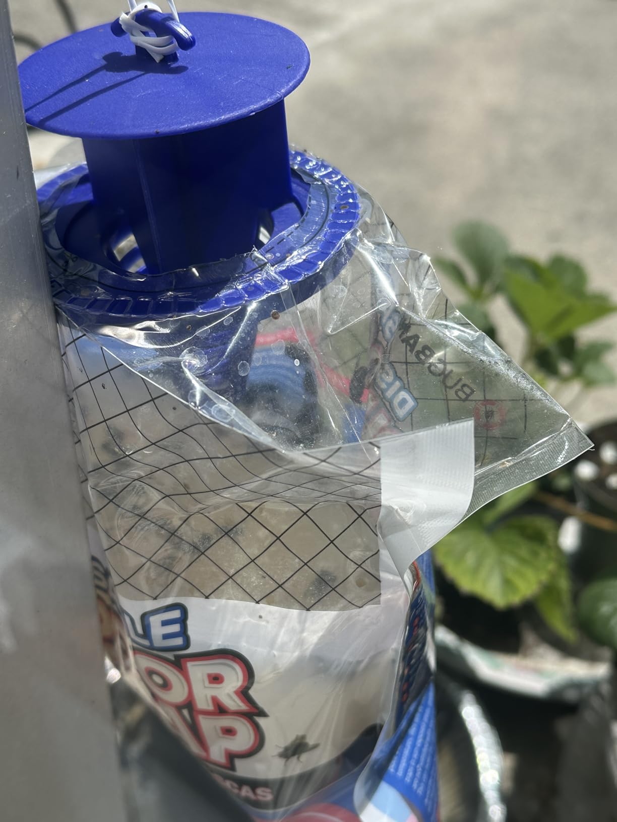 Fly Traps Outdoor Fly Trap for Patio. 4 Non-Toxic Pre-Baited Flies Bags Outdoor Disposable. Hanging Bug Catchers for All Filth Flies Killer for Outside Bug Control in Yard Horse Ranch Trash Can. customer photo 1