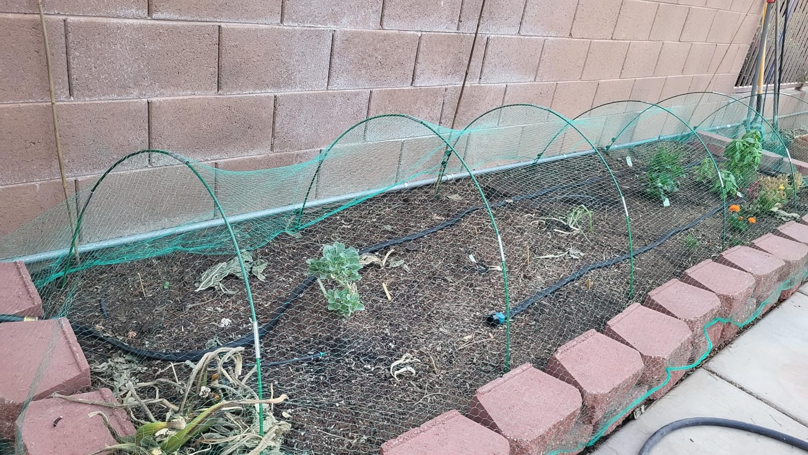 Ruolan Bird Netting for Garden Protect Vegetable Plants and Fruit Trees13X20Ft,Plastic Trellis Netting for Birds, Deer,Squirrels and Other Animals customer photo 2