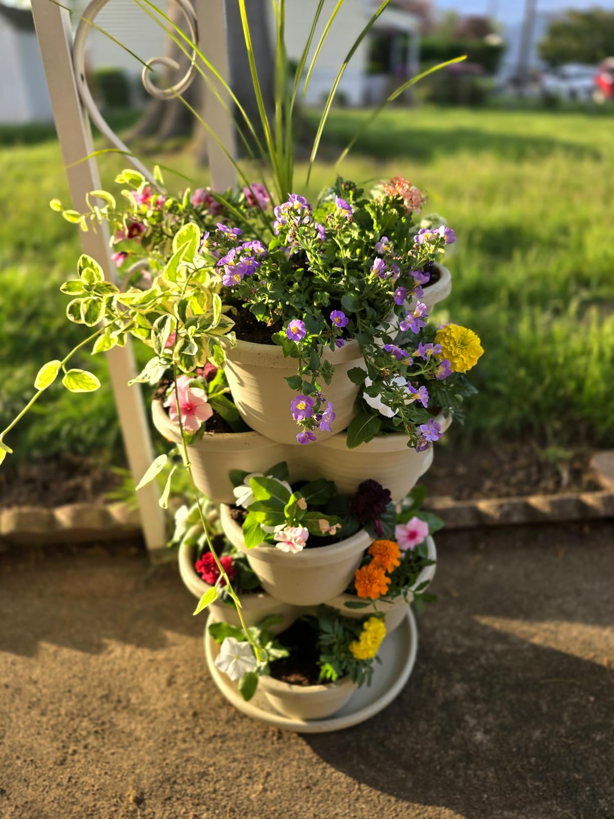 VIVOSUN 2-Pack 5 Tier Vertical Gardening Stackable Planter for Strawberries customer photo 2