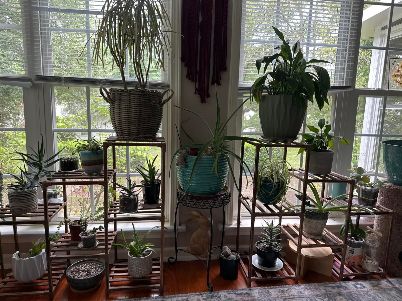 Bamworld Plant Stand Indoor Plant Shelf Outdoor Wood Plant Rack | for Multiple Plants 3 Tiers Ladder Plant Holder for Living Room Patio Boho Home Decor for Gardening customer photo 1
