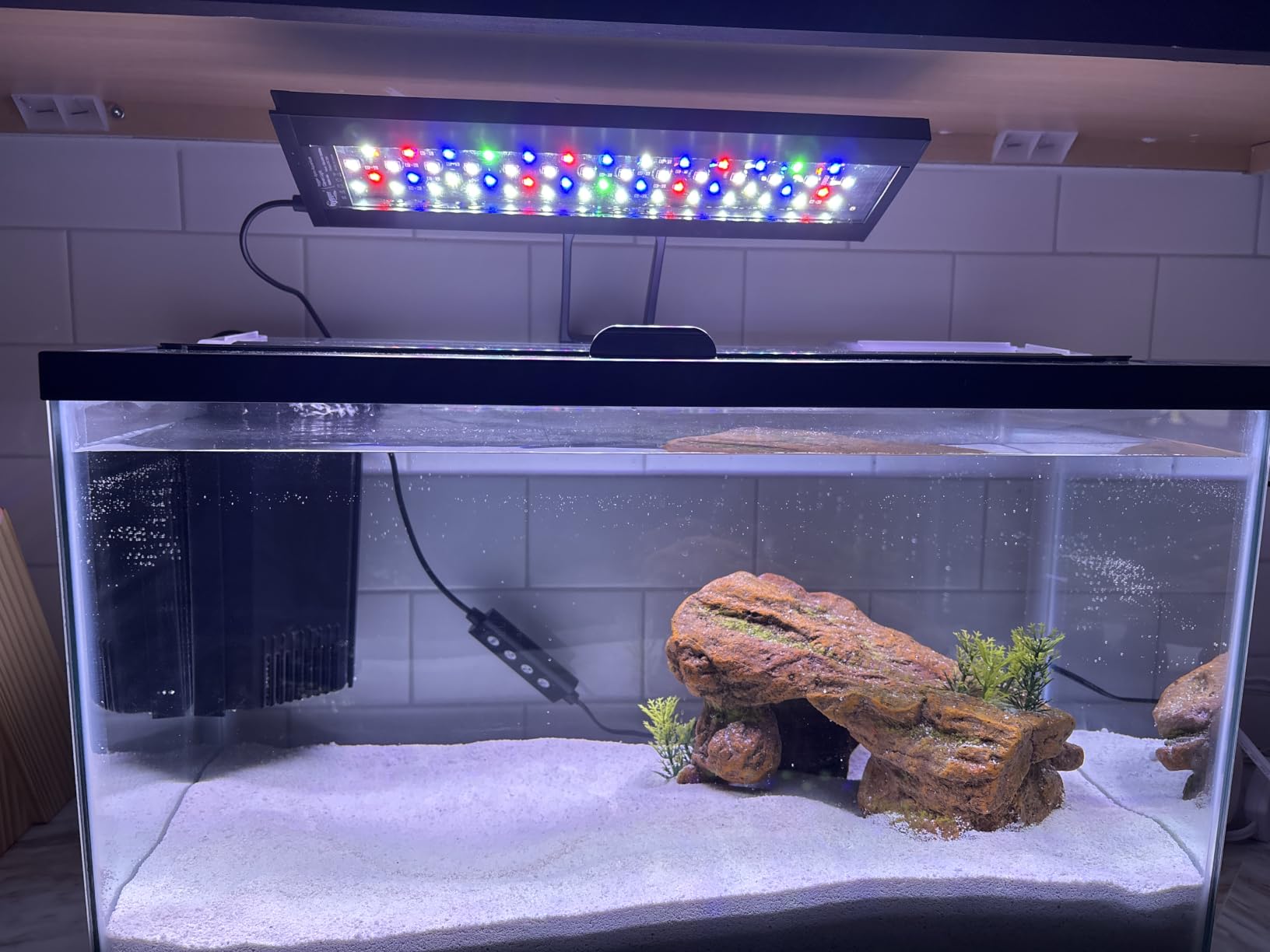 hygger Clip On 24/7 Lighting Aquarium LED Light,Sunrise-Daylight-Moonlight and DIY Mode, Adjustable Timer/Brightness Fish Tank Light with 7 Colors for Planted Tank (14W for 12~20in Tank) customer photo 2