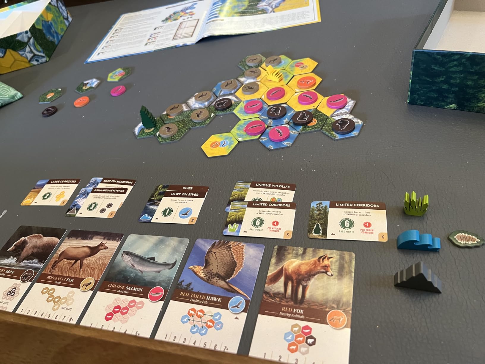 Cascadia, Award-Winning Cozy Nature Board Game Set in the Pacific Northwest customer photo 2