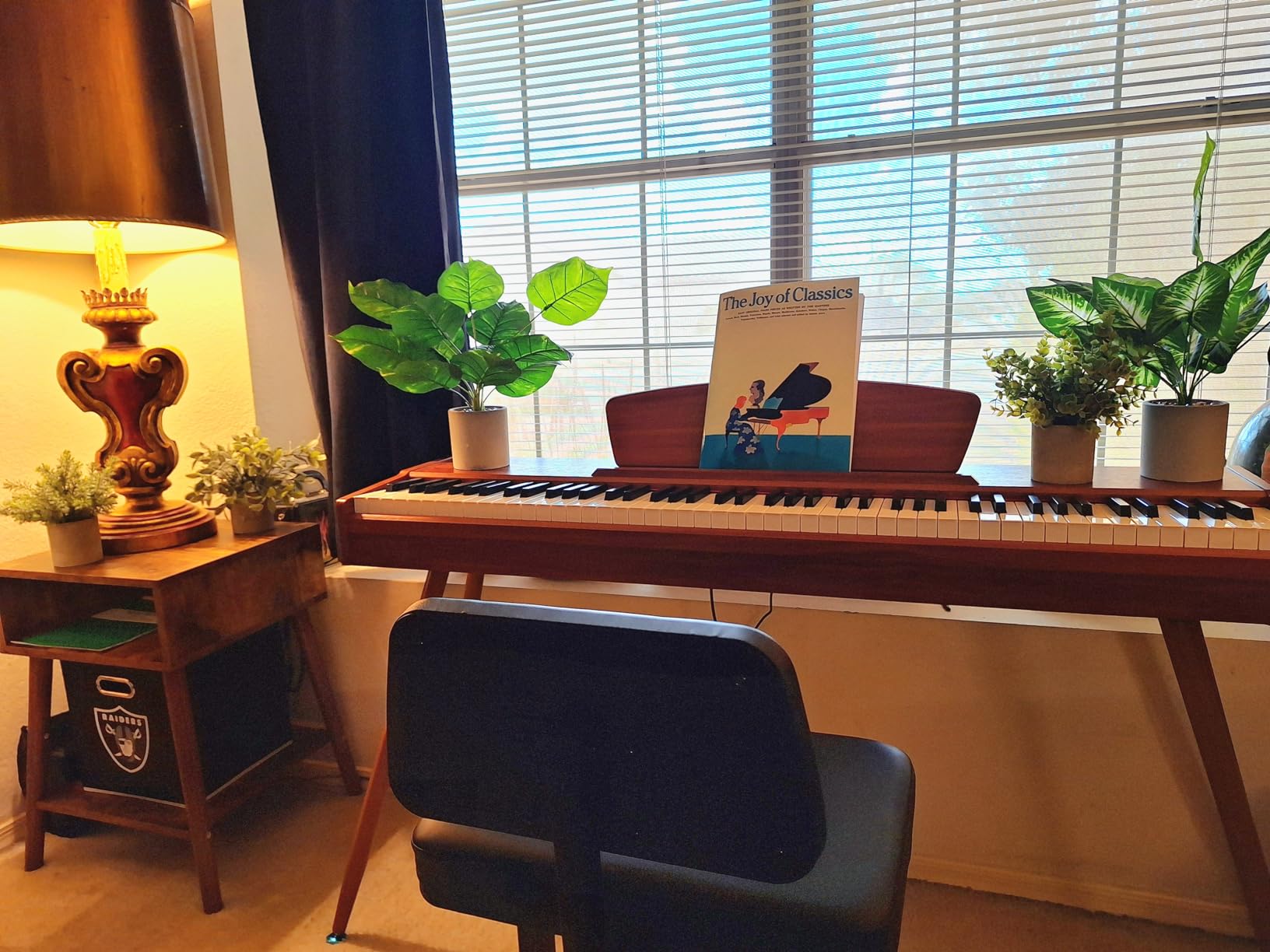 Donner DDP-80 Digital Piano 88 Key Weighted Keyboard, Full-size Electric Piano for Beginners, with Sheet Music Stand, Triple Pedal, Power Adapter, Supports USB-MIDI Connecting, Retro Wood Color customer photo 1