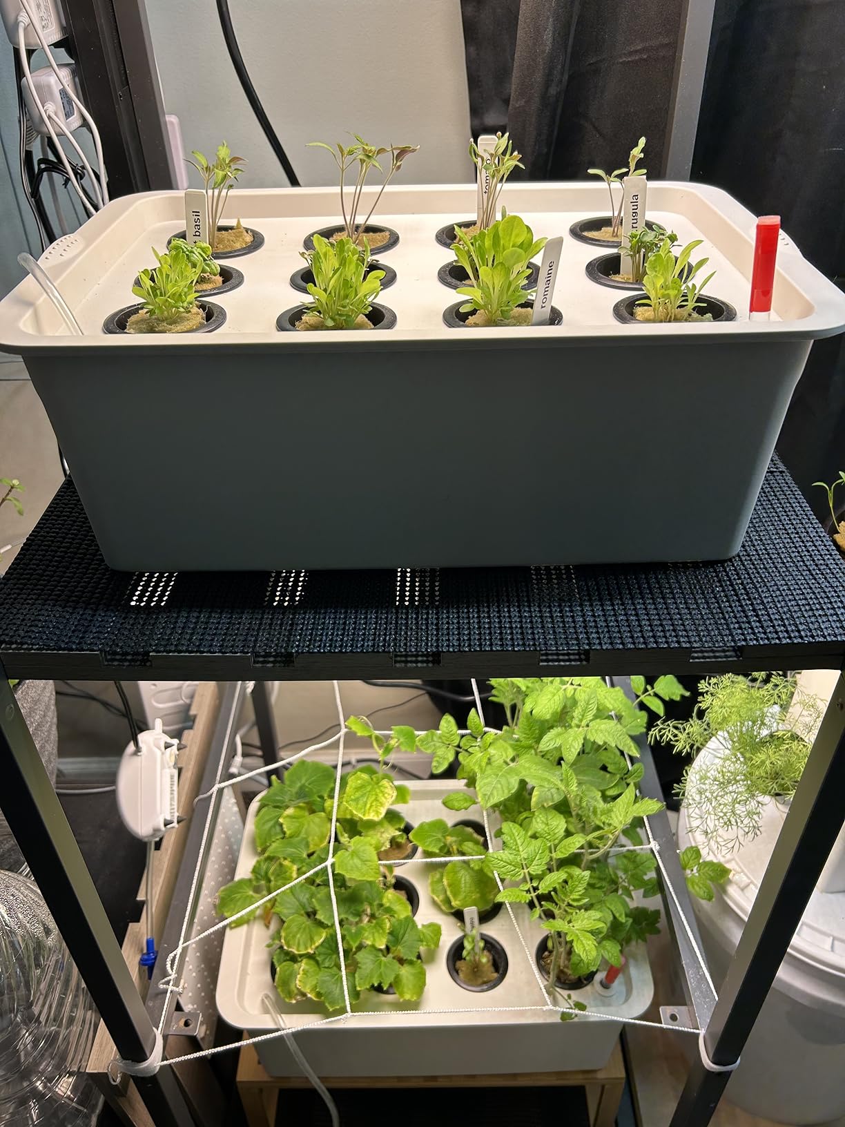 MAOPINER Indoor Hydroponic Grow Kit 12 Sites Deep Water Culture System customer photo 2