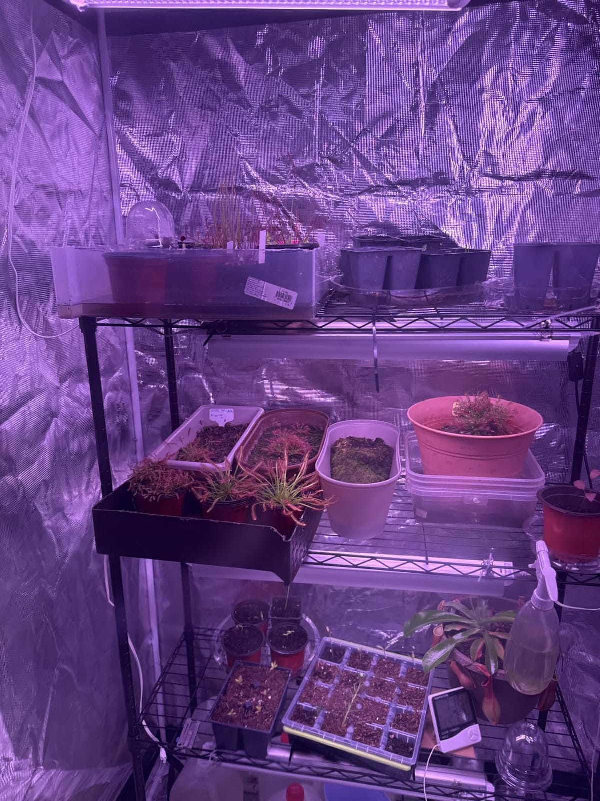 Grow Light for Indoor Plants,4ft T8, 180W(4 x 45W, 1080W Equivalent), Super Bright, Full Spectrum Sunlight Plant Light, LED Grow Lights for Indoor Plants, Greenhouse, 4-Pack customer photo 2