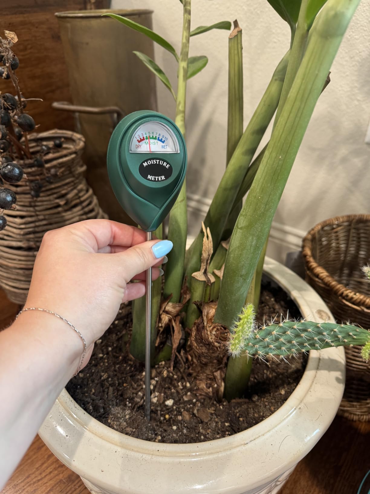 XLUX Long Probe Plant Soil Moisture Meter, Indoor Outdoor use, Battery-Free | longer stem for deeper use, instant read, anti-rust 304 SST probe, Easy-to-Read Display, Single-Probe, less hurts to roots customer photo 2