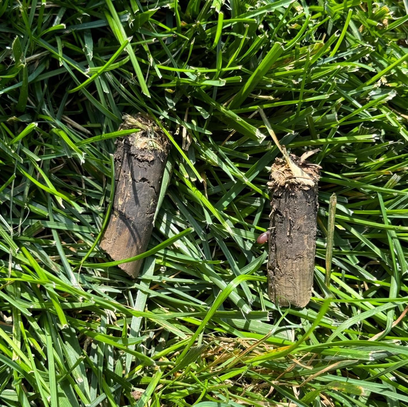 Landzie - Lawn Aerator Tool 42