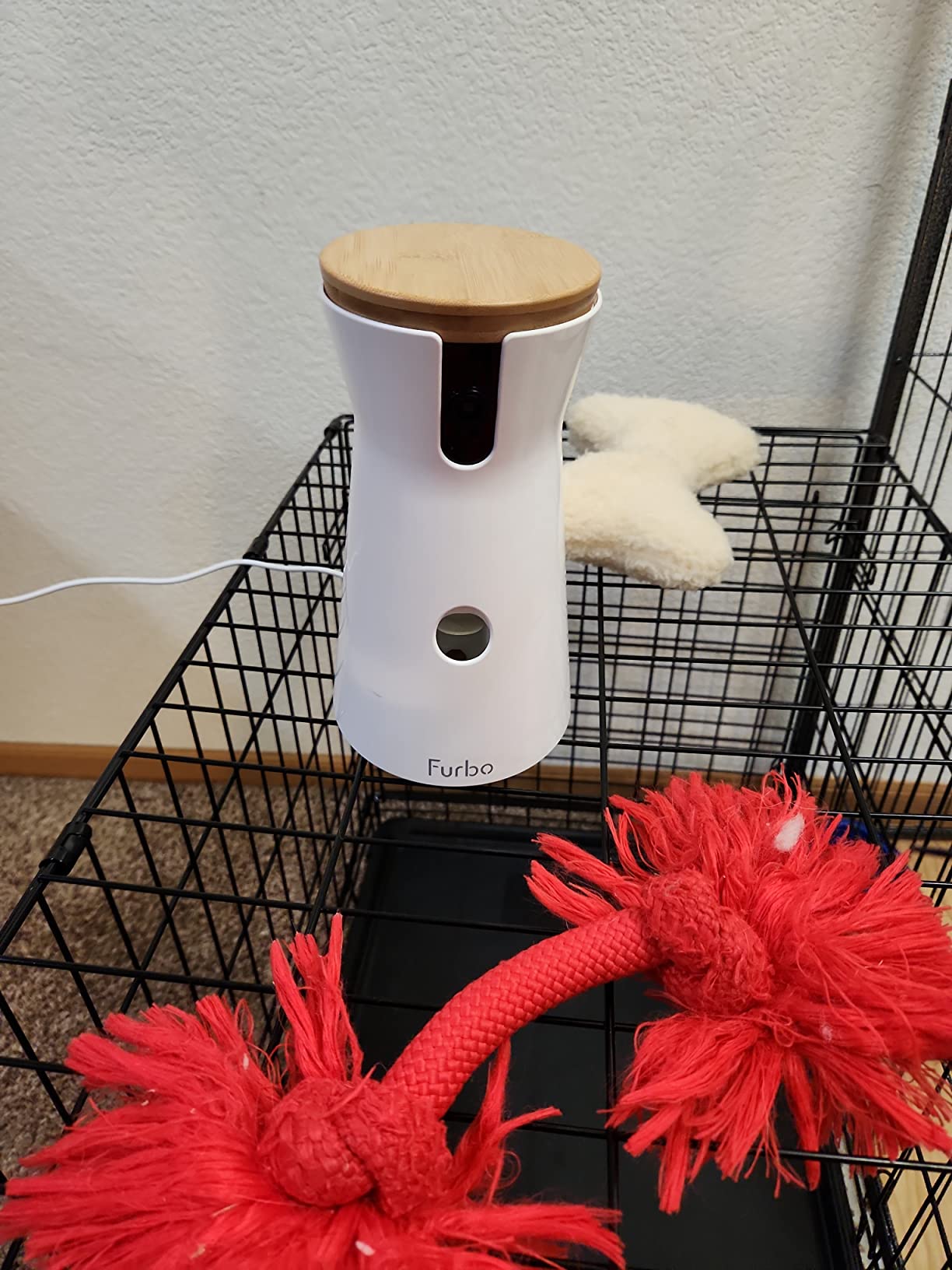 Furbo 360° Dog Camera [Core Features, No Ongoing Cost] customer photo 1