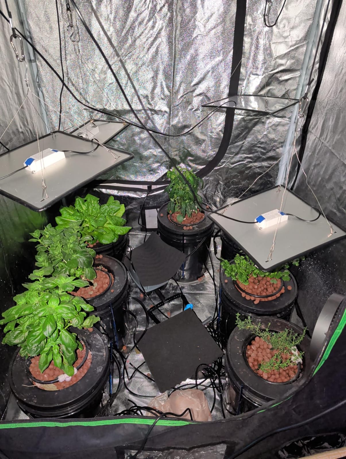 VIVOSUN DWC Hydroponics Grow System with Top Drip Kit 1 Bucket customer photo 2