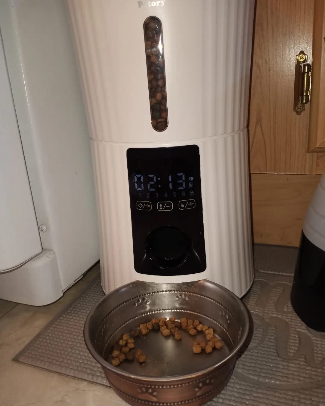 Petory Timed Automatic Cat Feeder - 4L Dry Food Dispenser for Cats and Dogs customer photo 1
