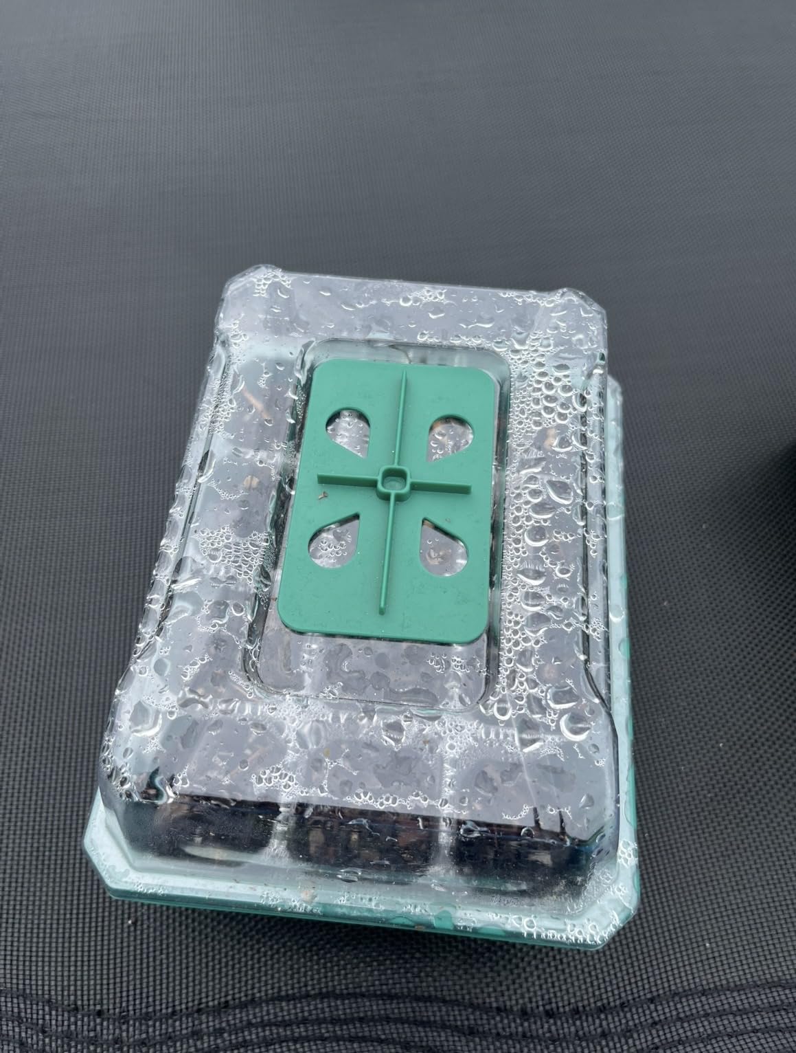 VIVOSUN 6-Pack Seed Starter Trays, 72-Cell Starter Kit with Humidity Dome customer photo 2