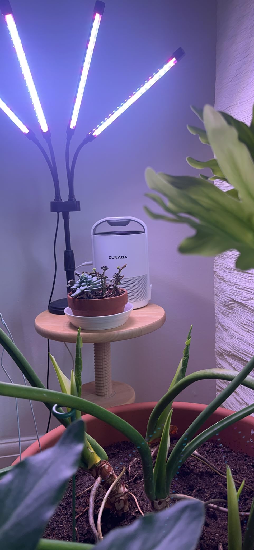 SYEIORAOM Grow Lights for Indoor Plants, Four Head LED Grow Light with Full Spectrum, Red White Spectrum for Indoor Plant Lamp, Adjustable Gooseneck, Suitable for Vegetation customer photo 1