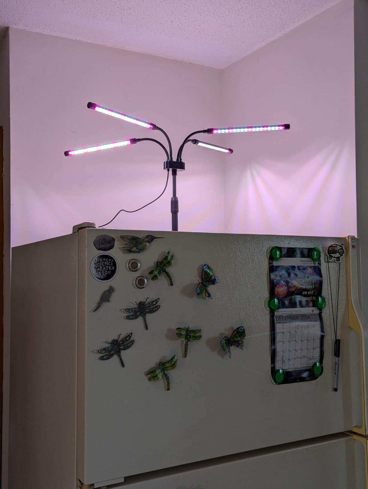 SYEIORAOM Grow Lights for Indoor Plants, Four Head LED Grow Light with Full Spectrum, Red White Spectrum for Indoor Plant Lamp, Adjustable Gooseneck, Suitable for Vegetation customer photo 2