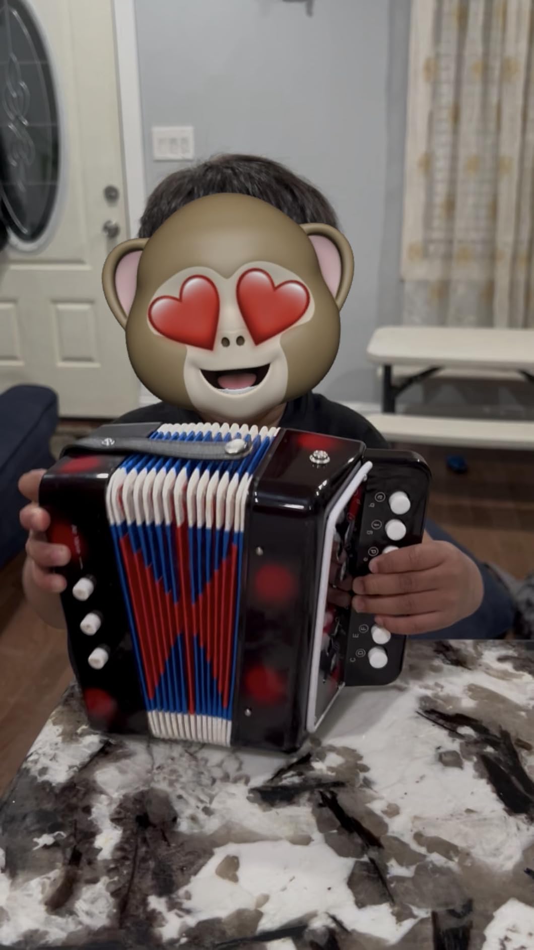 LIEKE Kids Accordion 10 keys Button Accordian,Musical Toy Instrument,Mini Accordion for Children Beginners (Blue) customer photo 1