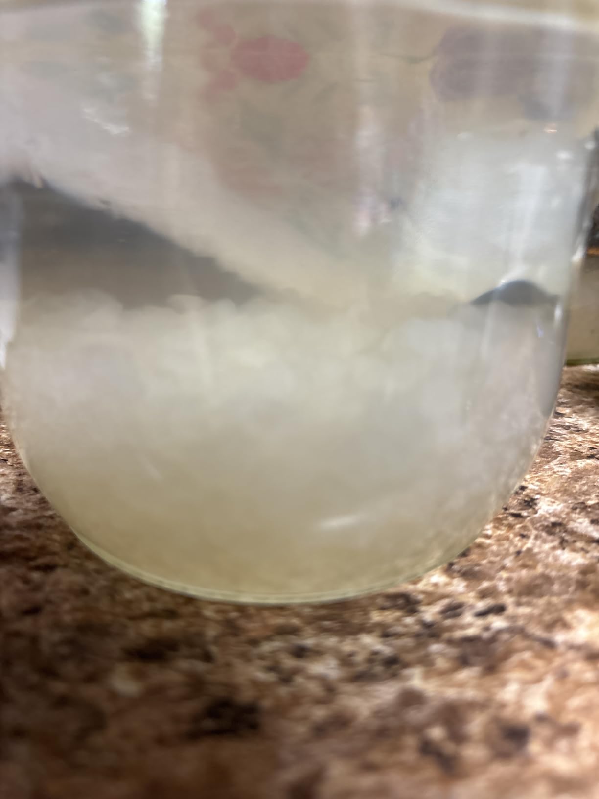 Natural Probio® Water Kefir Grains - Starter Culture Kit – Fruit Kefir + Complete Guide, Recipe & Tips + Ebook Library Access + Customer Support (0.35 oz dehydrated / 2.12 oz rehydrated) customer photo 1