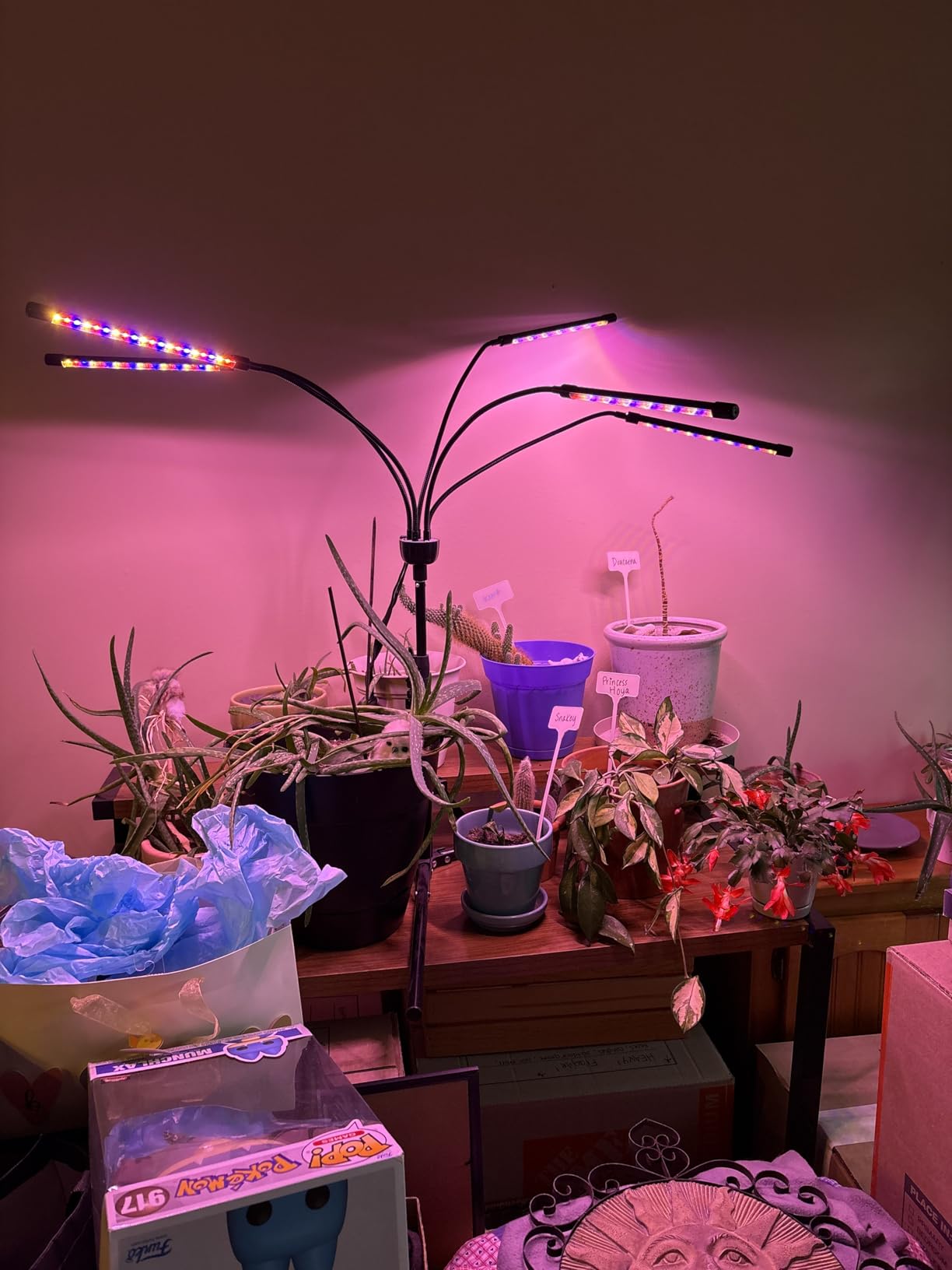yentbokj Grow Lights for Indoor Plants,5 Heads Red Blue White Full Spectrum Plant Light with 15-60