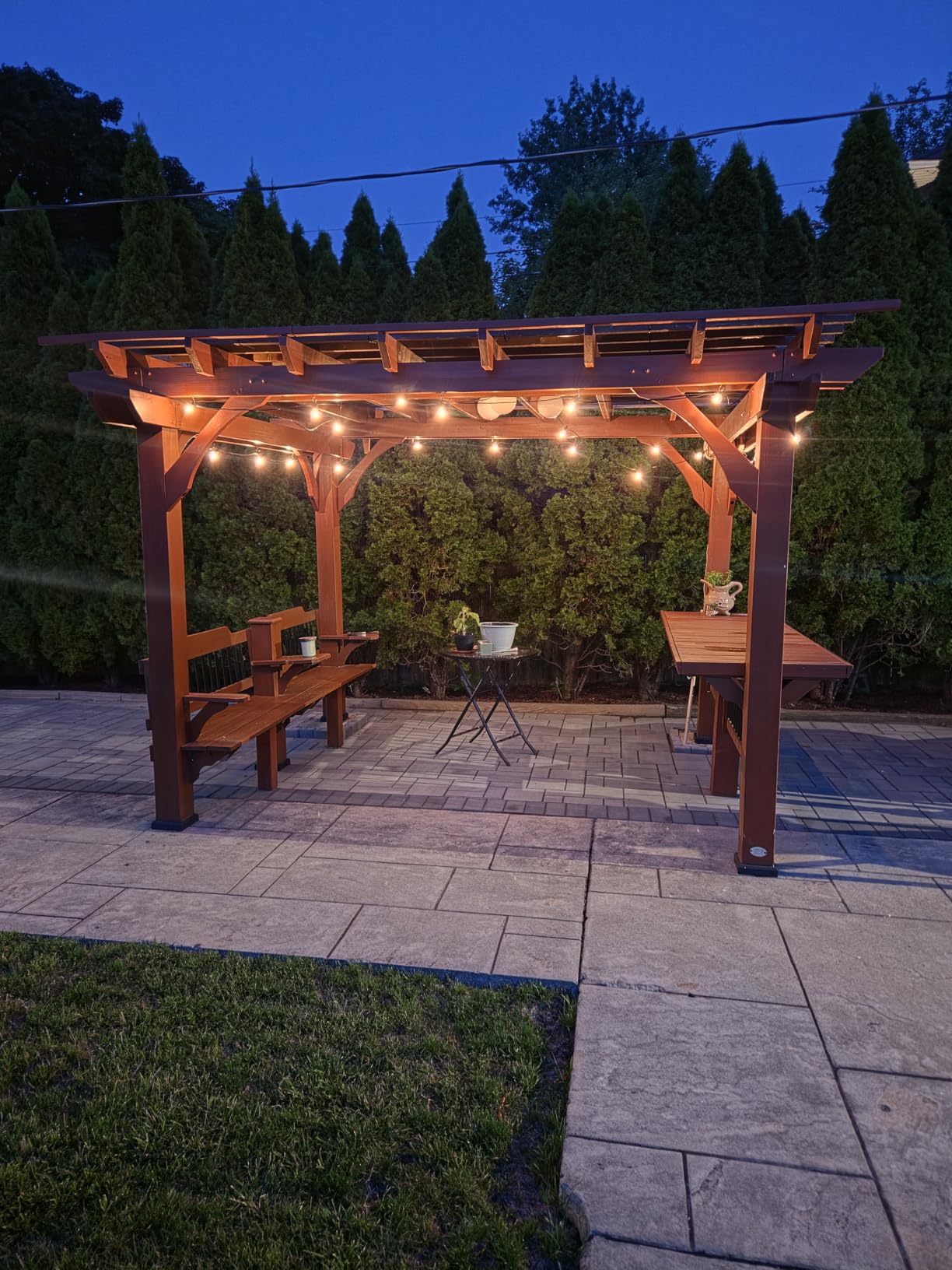 Outdoor String Lights, 55(50+5) FT 25 Bulbs IP65 Waterproof Patio Lights, Shatterproof Dimmable Hanging Connectable G40 Globe LED Outdoor Lights for Christmas, Backyard, Bistro, Porch customer photo 2