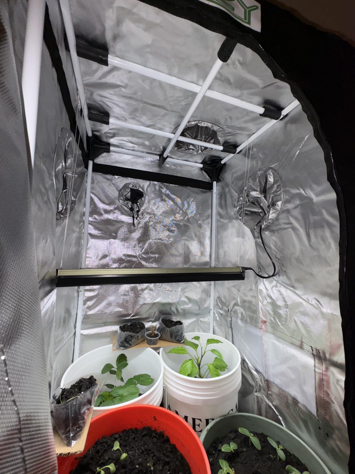 zazzy 2'x2' Grow Tent 24