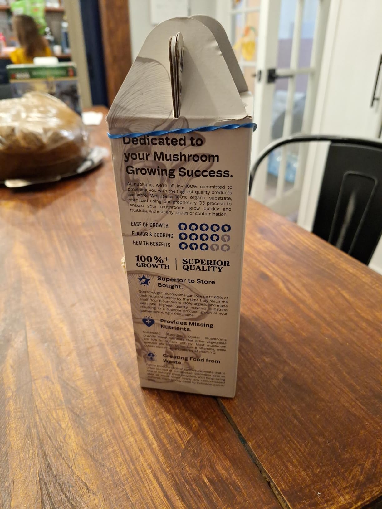 BloomBox Blue Oyster Mushroom Grow Kit – Spray & Grow – Pre-Inoculated Indoor Mushroom Farm – Beginner Friendly – Harvest Fresh Gourmet Mushrooms in Days – Perfect Gift customer photo 2