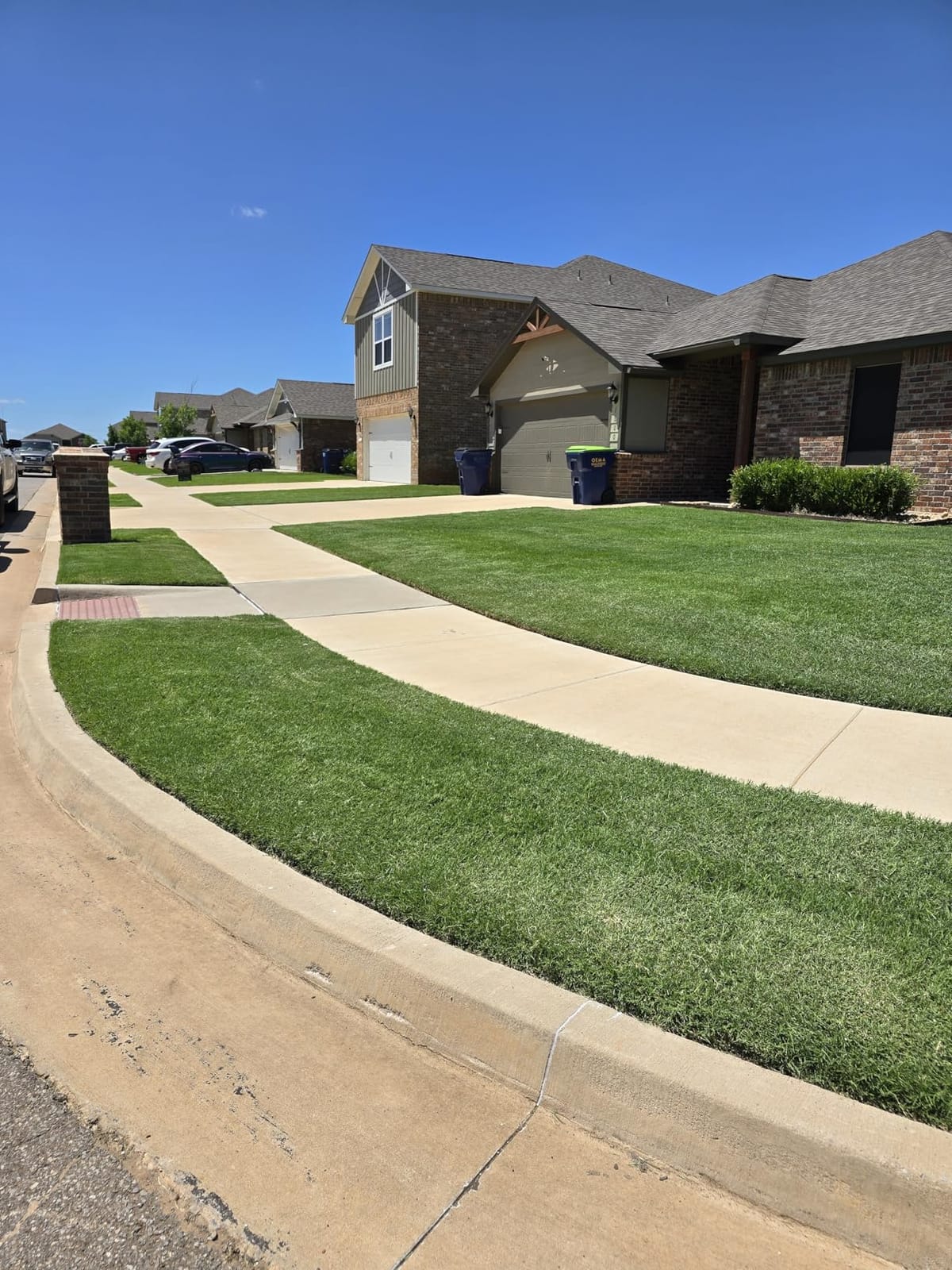 Greenworks 40V 8 in Cordless Electric Lawn Edger, 4.0 Ah Battery, Charger customer photo 2