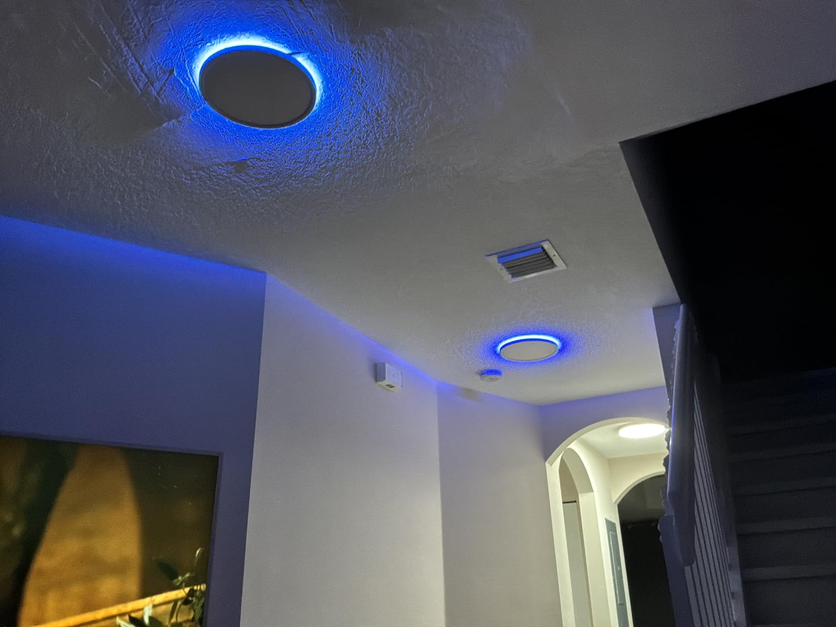 MELEGAN 12 Inch Smart RGB LED Flush Mount Ceiling Light (1 Pcs) | 24W RGB Mood Light, Multi Scenes, Night Light, Flush Mount, Dimmable 2700-6500K, WiFi Alexa Google, for Bedroom, Living Room customer photo 2