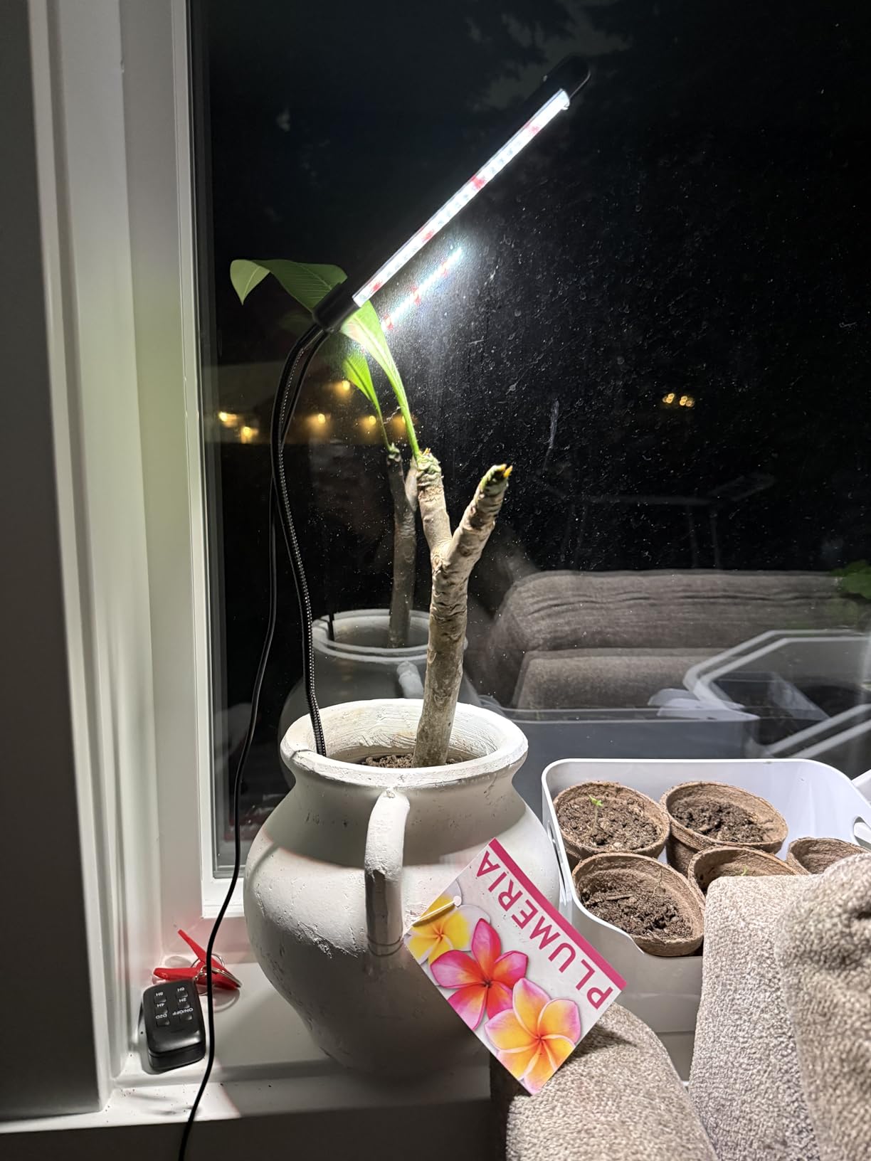 Plant Grow Light,48LED White Red 6000K Full Spectrum Gooseneck Growing Lamp customer photo 2