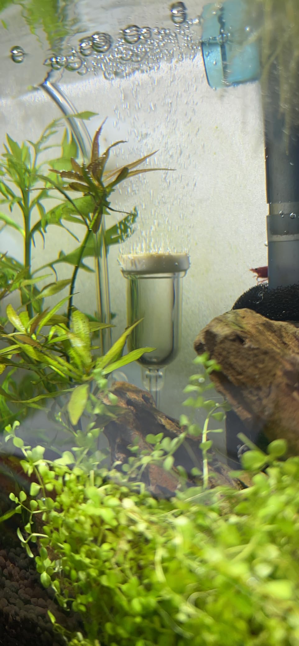 boxtech Aquarium Air Stone, Fish Tank Bubble Diffuser High Dissolved Oxygen Airstones for Air Pump Accessoriess with 1 Check Valve, 2 Suction Cup for Aquarium Pond Hydroponic customer photo 2