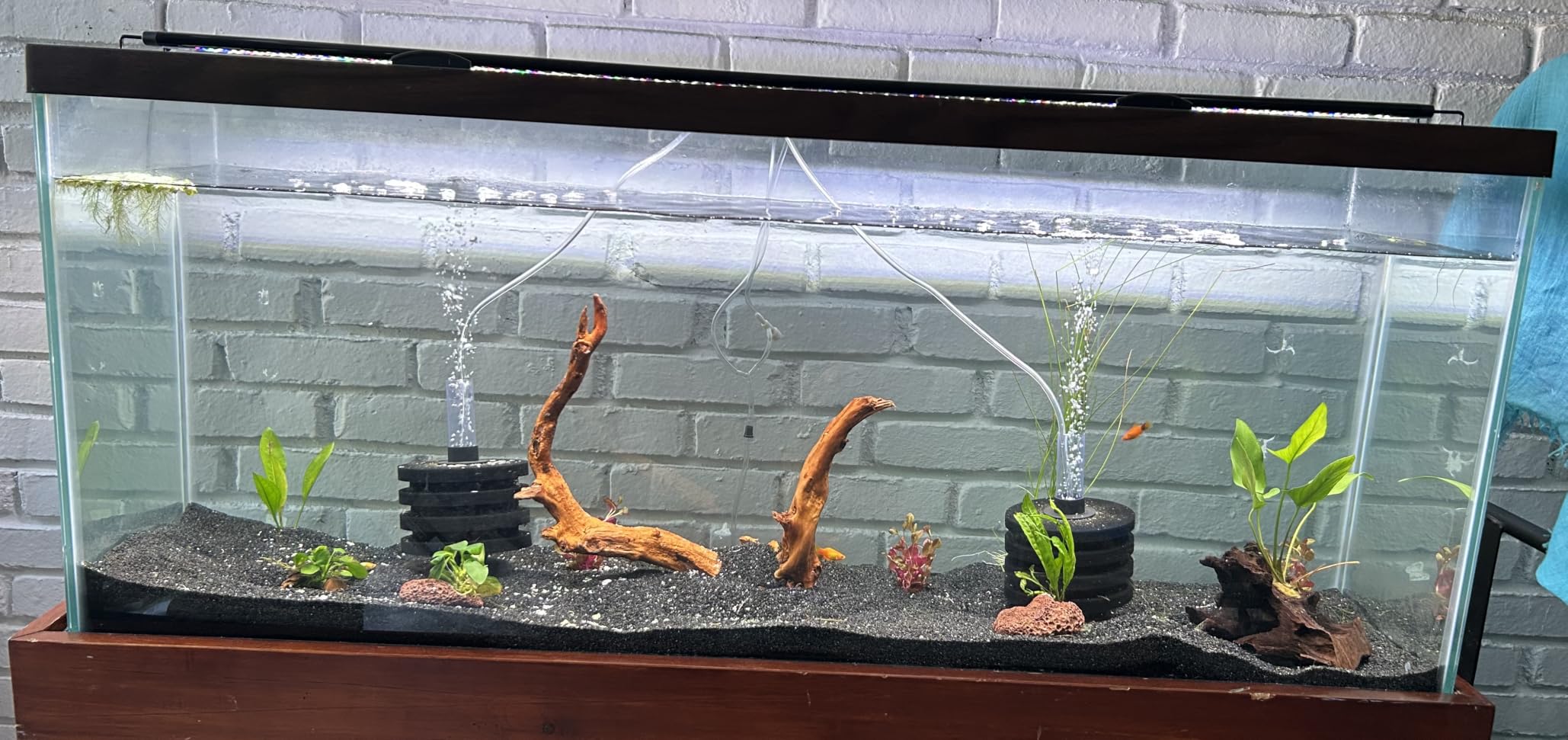 SEAOURA Led Aquarium Light for Plants-Full Spectrum Fish Tank Light 18-24'' customer photo 2